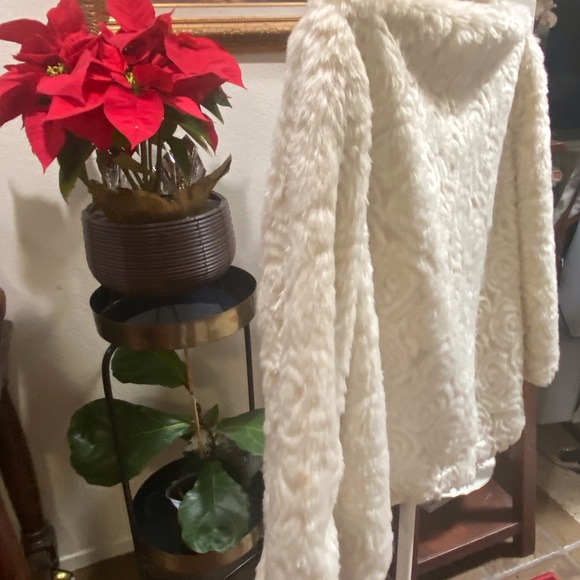 Dollhouse  Coat Brand new with tag. - Picture 5 of 5